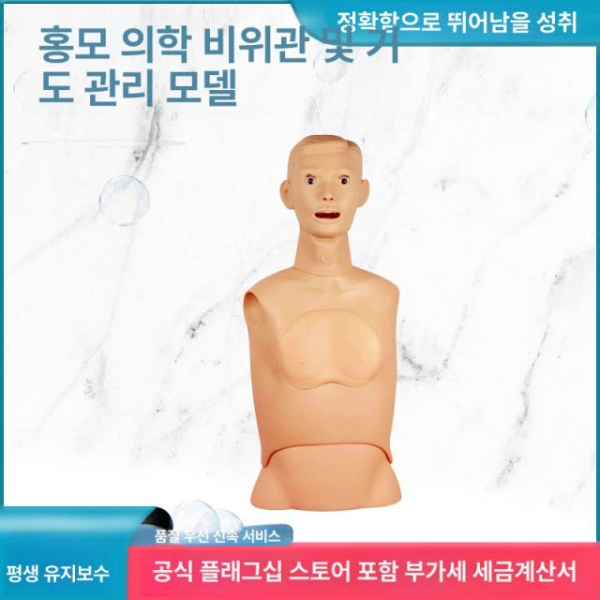 실습용 최신 간호술기 교육기관모형 비강위관 수유 삽관 인현 심폐소생술 단일 항목 - 상품 이미지