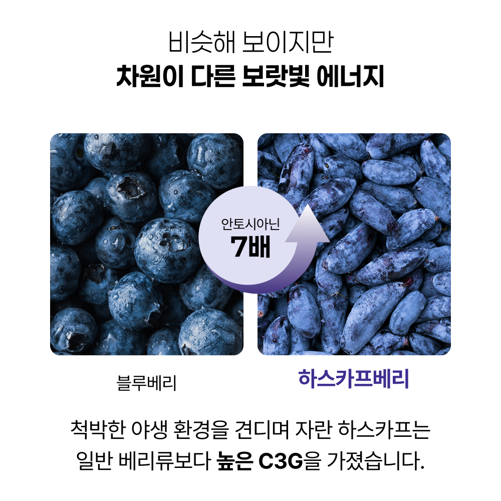 뉴트리플랜트 백두산 하스카프베리 식약처 HACCP 인증 120정, 3개 - 상세 이미지 5
