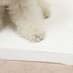 펫토리아 한장뚝딱 슈퍼라이트 강아지 배변패드 대형45g (60x76cm)... 솔직 후기 | 실제 사용자 리뷰 총정리 - 상품 이미지 2