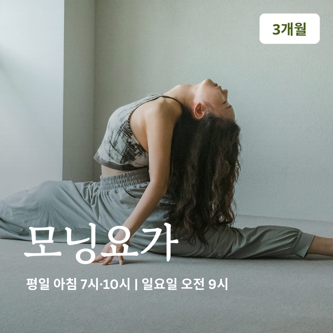 온라인요가온 - YOGAON 모닝요가 VIP 수강권 가격 추이 온라인요가온 온라인요가온 - YOGAON 모닝요가 VIP 수강권 - 최저가 186,300원