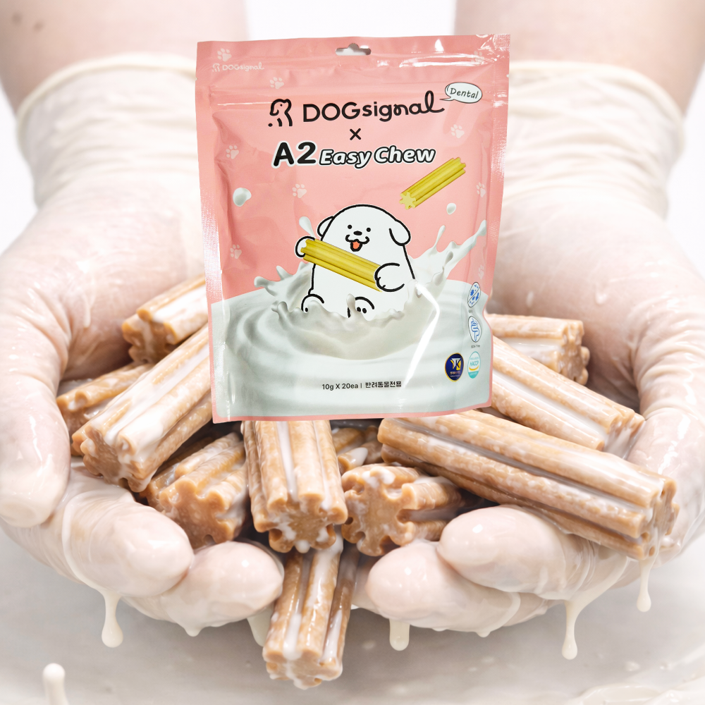 도그시그널 덴탈베이직 강아지 덴탈껌 구강 영양제 치석 입냄새 관리 플라크 20P 200g - 상품 이미지