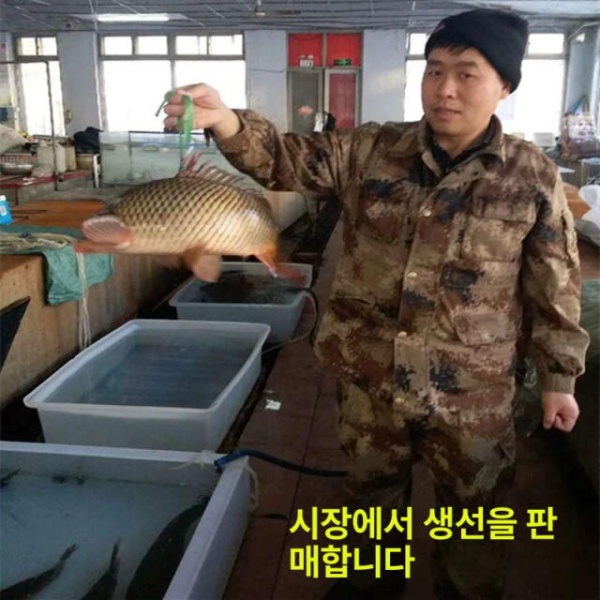 튼튼한 업소용 대형 사각 저장 바구니 말통 다용도 대야 50l 67x43x20cm 중간 - 상세 이미지 4