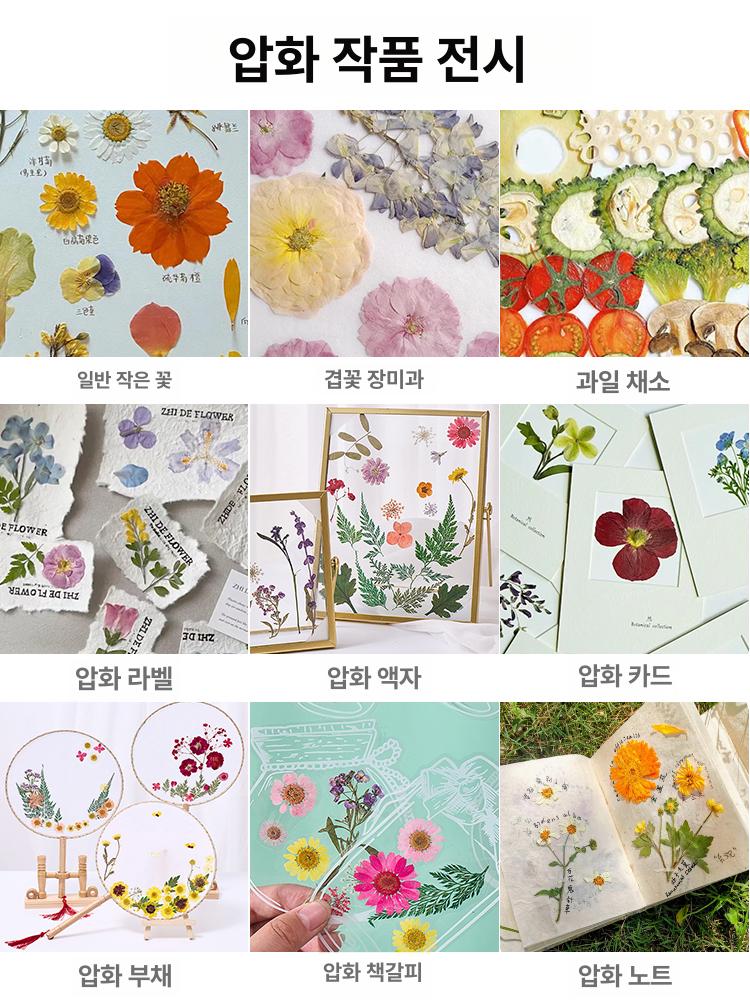 압화공예 압화기 핸드메이드 누르미 머신 꽃 도구 강화 미디엄 엠보스터 19 세트 26cm 7개 - 상세 이미지 5