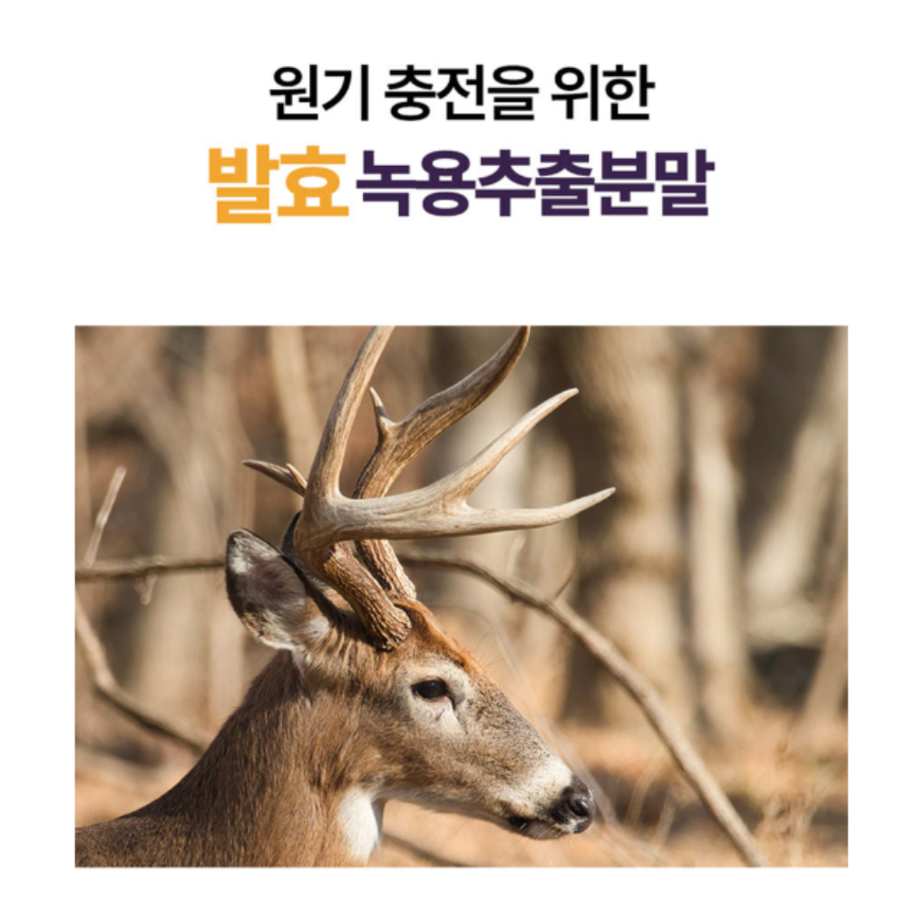 김소형원방 프랑스 난백 알부민 마시는 진액스틱 실크 복합물 15g 약1달 30포, 1개 이미지 7