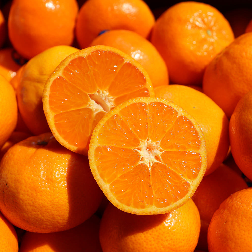 캘리포니아 만다린 1kg 로얄과