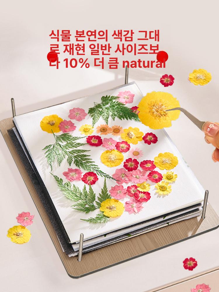 압화공예 압화기 핸드메이드 누르미 머신 꽃 도구 강화 미디엄 엠보스터 19 세트 26cm 7개 - 상세 이미지 4