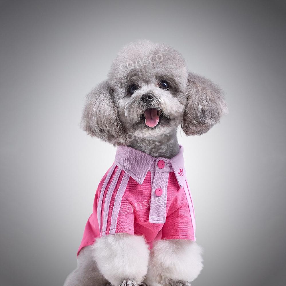 아디다스 펫 강아지옷 고양이 폴로 티셔츠 카라 삼선 - 상세 이미지 5