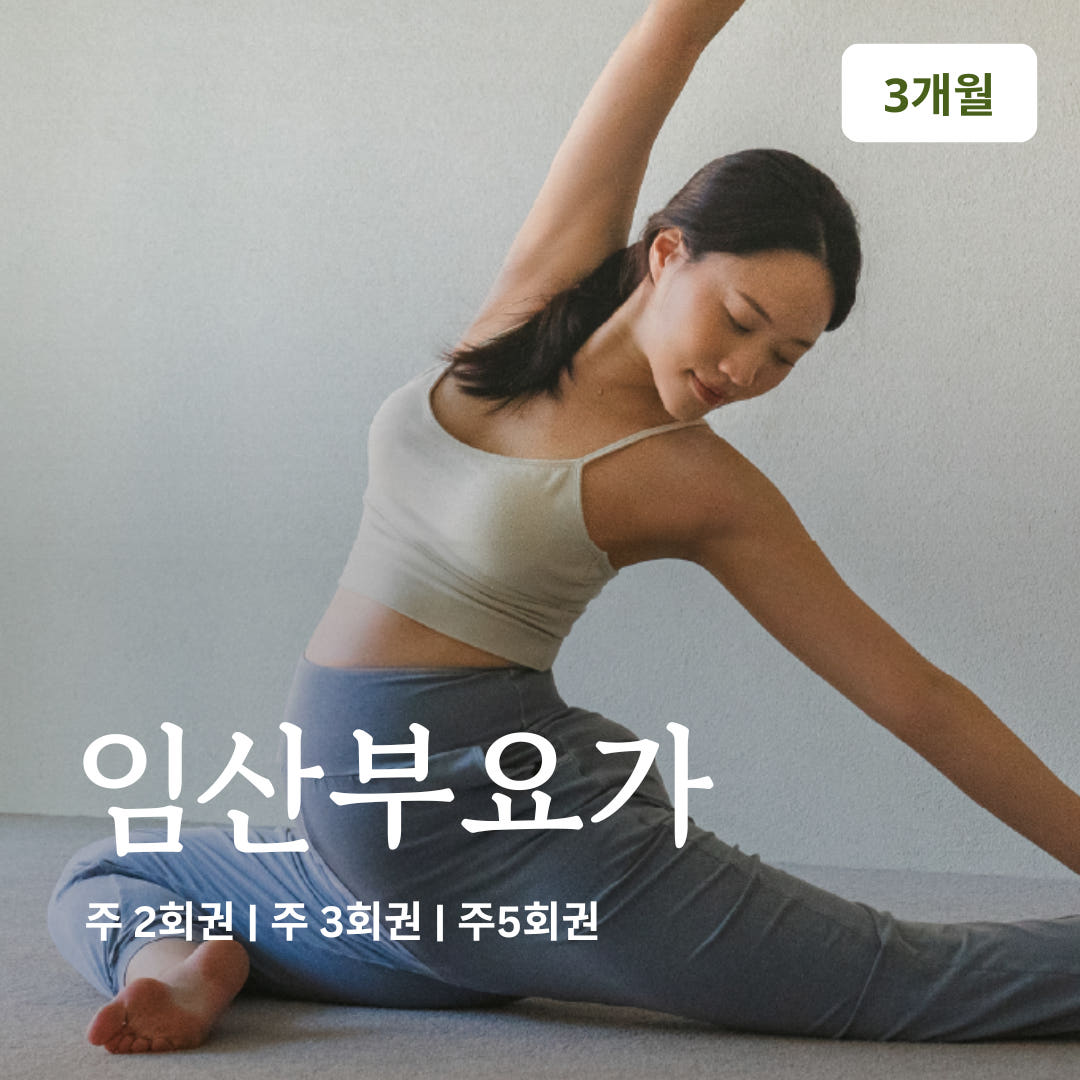 온라인요가온 YOGAON 임산부 요가 VIP 수강권 - 최저가 173,740원