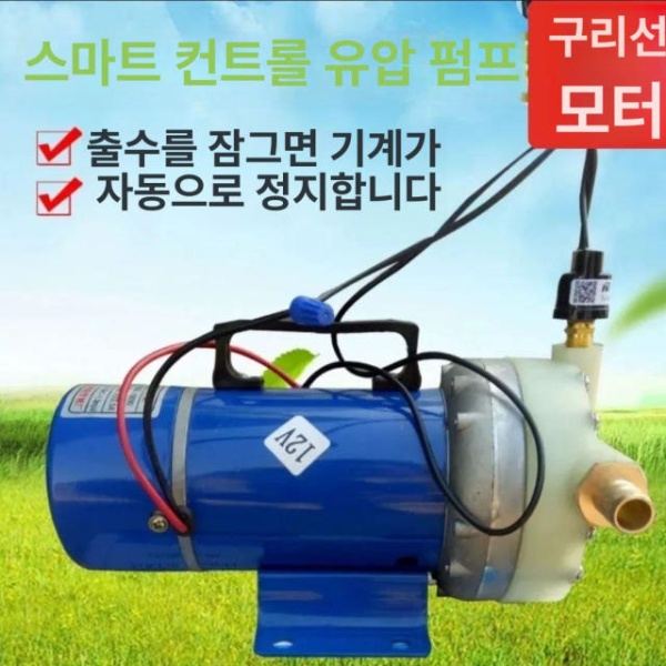 프리미엄 농약 분무기 스프레이 다이어프램 예초기 72V 흡입관 필터 포함 부품 고압 수중 12V 본체 - 상세 이미지 2