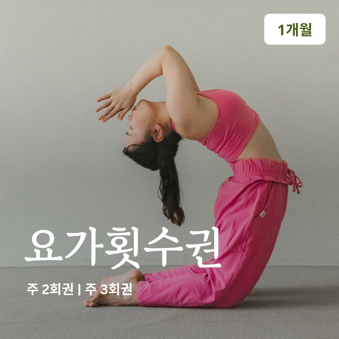 온라인요가온 온라인요가온 - YOGAON 횟수제 1개월 수강권