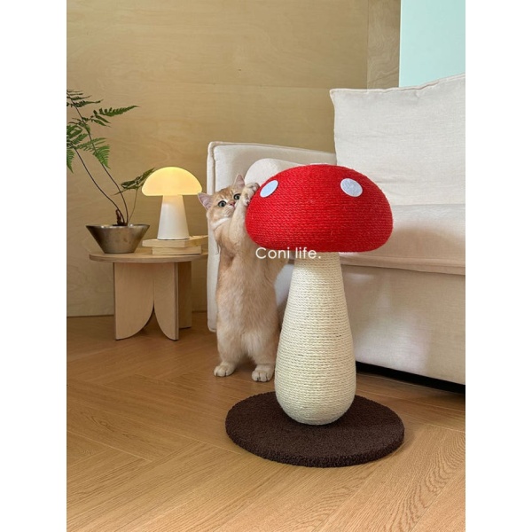 럭셔리 고양이 스크래쳐 놀이 세트 버섯모양 장난감 고양이놀이터 레드머쉬룸 하이 50 x 35cm 레드머쉬룸 로우 34 x 28cm - 상세 이미지 3