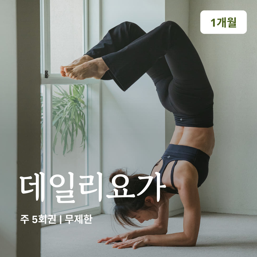 YOGAON 데일리요가 1개월 수강권 가격 추이 온라인요가온 YOGAON 데일리요가 1개월 수강권 - 최저가 83,250원