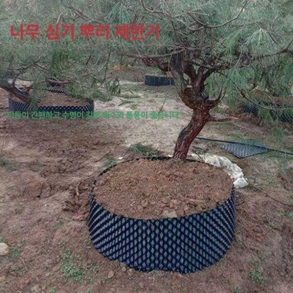 최고품질 에어포트 마술화분 플라스틱 화분 30cm10m 30cm x 길이 50m 두께0.6mm 20cm x 길이 50m 두께0.6mm - 상세 이미지 3