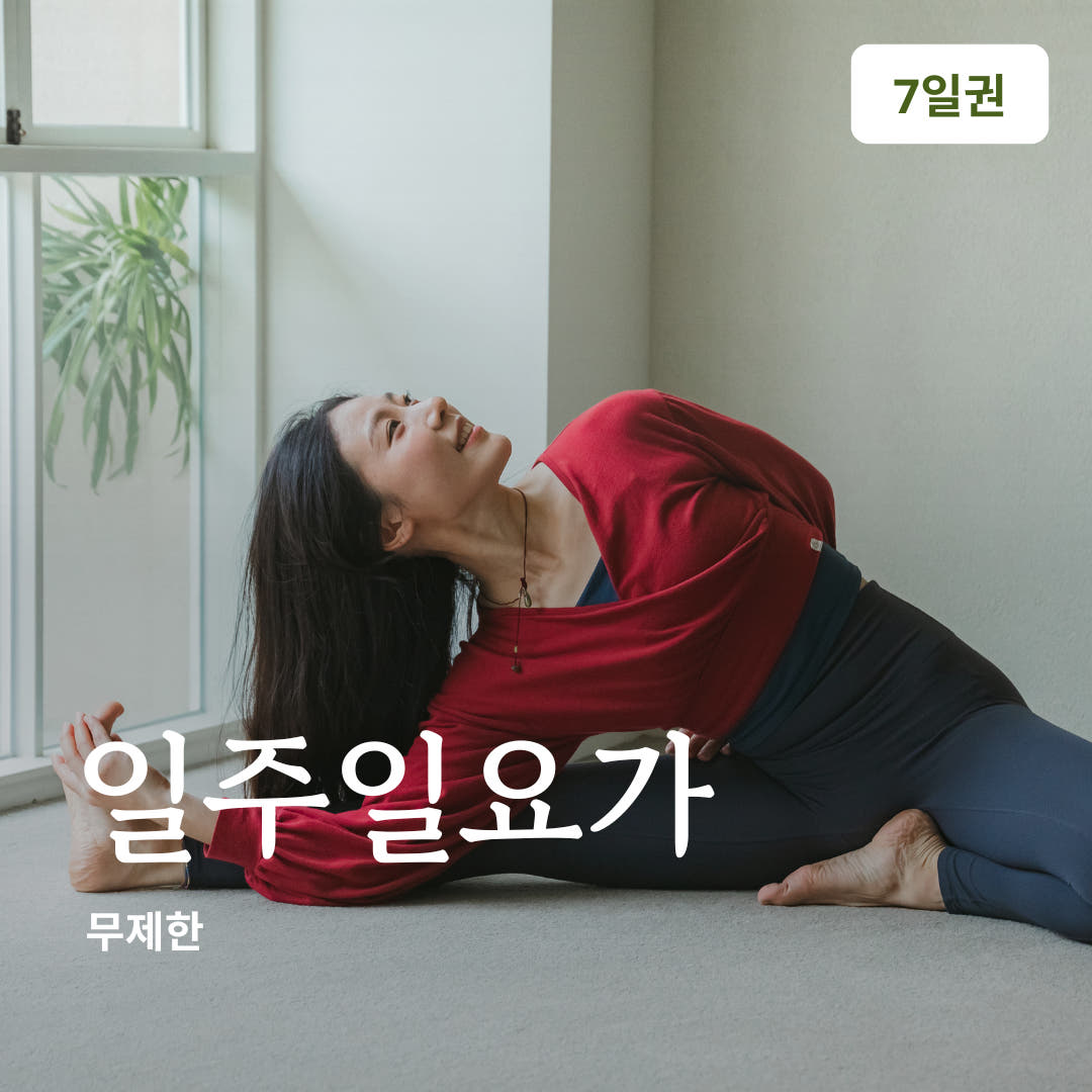 YOGAON 일주일 무제한 수강권 가격 비교 온라인요가온 YOGAON 일주일 무제한 수강권