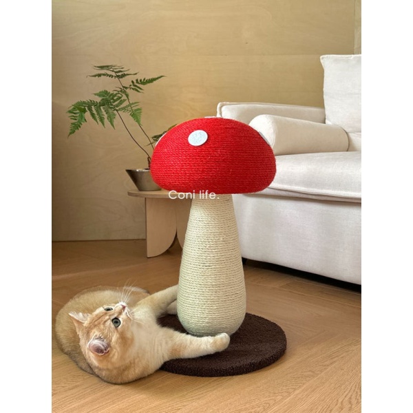 럭셔리 고양이 스크래쳐 놀이 세트 버섯모양 장난감 고양이놀이터 레드머쉬룸 하이 50 x 35cm 레드머쉬룸 로우 34 x 28cm - 상품 이미지
