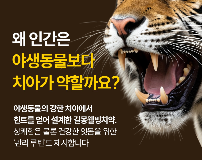 호랑이처럼 강한 치아를 원하세요 길몽웰빙치약 150g 12개 이미지 6