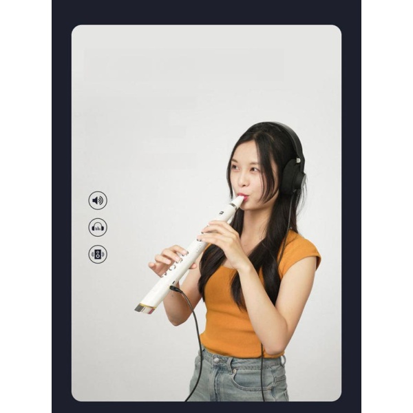 프리미엄 클라리미니 골드 악기 액세서리 에어로폰 목관 화이트 화이트 - 상품 이미지
