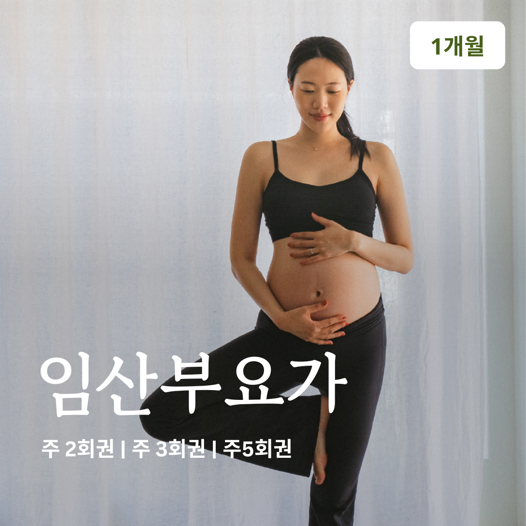 온라인요가온 - YOGAON 임산부 요가 1개월 수강권 제품 이미지