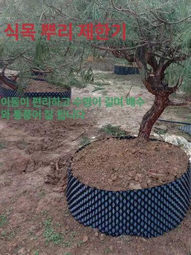 분갈이 플라스틱 에어포트 배수판 화분 대형 두께 숨쉬는 높이 30cm x 길이 50m두께 0.6mm - 상세 이미지 3