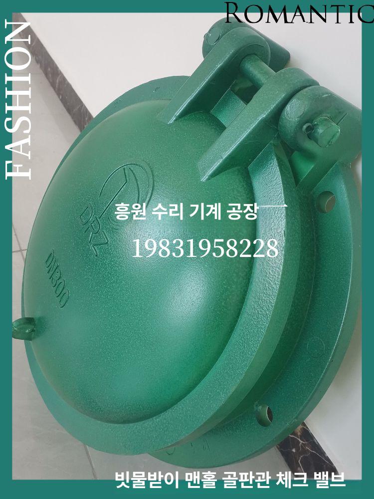 배수로 체크 밸브 주름관 삽입식 역류방지 커버 플랩 100mm dn100 밸브 - 상세 이미지 5