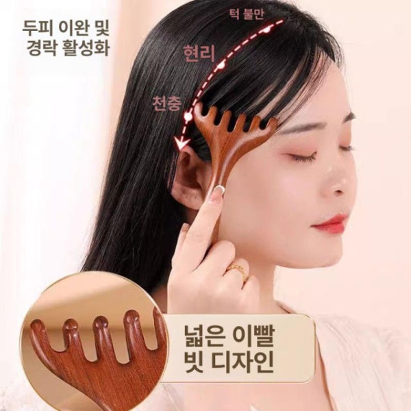 프리미엄 괄사 빗 머리 6발 사슴뿔 리프팅 도구 서경활혈줌 마사지 어혈삭 1개 6발 마사지 빗 1개 - 상세 이미지 5