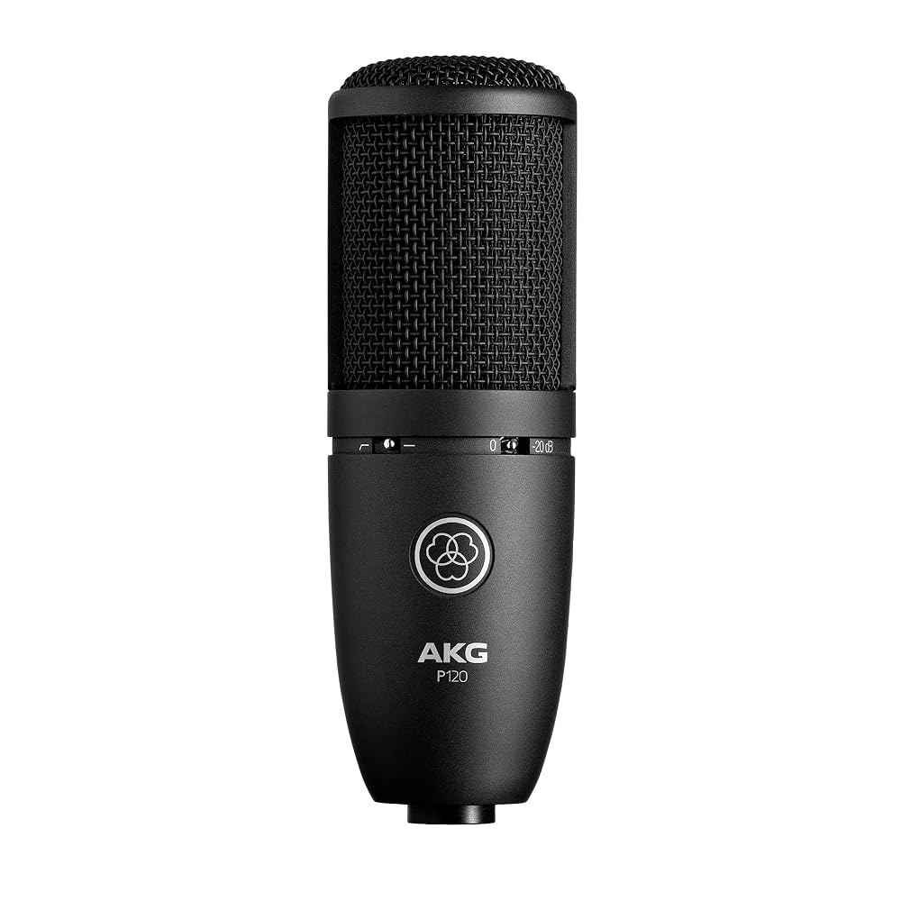 AKG Pro 오디오 P120 - 깨끗한 보컬과 악기를 위한 합리적인 가격의 2/3인치 다이어프램 콘덴서 마이크. 스튜디오 녹음 또는 라이브. XLR 커넥터. 블랙 P120 - 상품 이미지