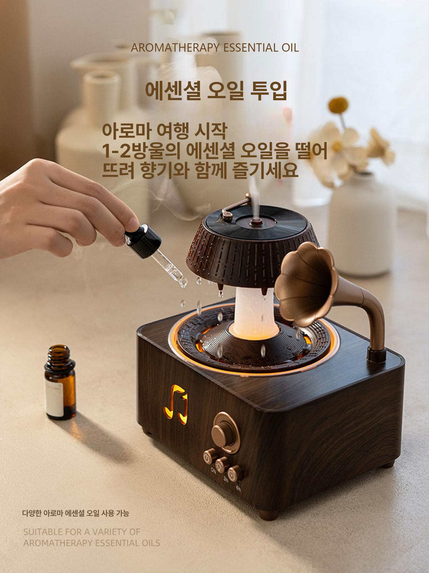 축음기 장식품 레트로 인테리어 소품 뮤직박스 레코드판 스탠다드 1병 - 상세 이미지 4