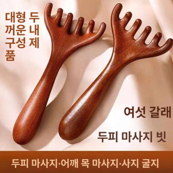 프리미엄 괄사 빗 머리 6발 사슴뿔 리프팅 도구 서경활혈줌 마사지 어혈삭 1개 6발 마사지 빗 1개 - 상세 이미지 2