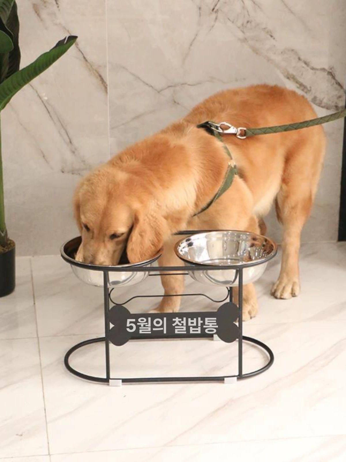 강아지 식탁세트 물그릇 높이조절 거치대 각도조절 애견 앤티크브론즈 맞춤 문구 36 16 15 2.5 - 9.0kg - 상세 이미지 2