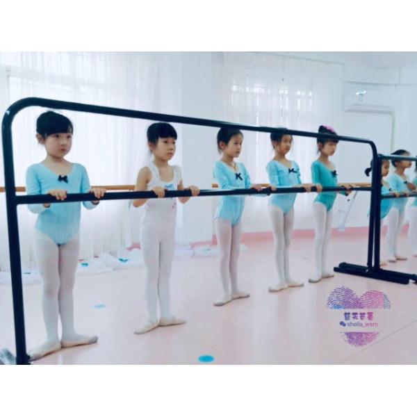 프리미엄 이동식 연습용 발레 바 평행봉 벽부착 고정 접이식 1m 성인용 단칸 1m 색상지정 높이 60-110cm - 상세 이미지 3