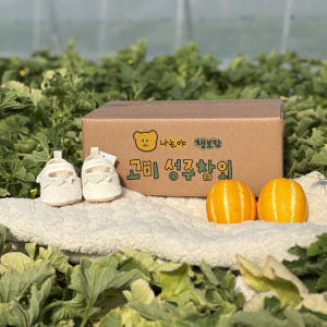 2kg 껍질째 먹는 고당도 성주 꿀 참외 못난이 가정용 선물용 꼬마 고미... 맛있게 먹은 솔직 후기 - 상품 이미지 1