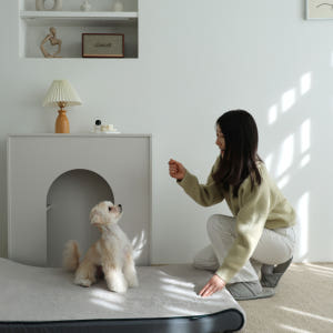 냐오오 강아지 침대 대형견 방석 쿠션 쇼파 국내생산 자체제작 고양이 도브... 솔직 후기 | 실제 사용자 리뷰 총정리 - 상품 이미지 4