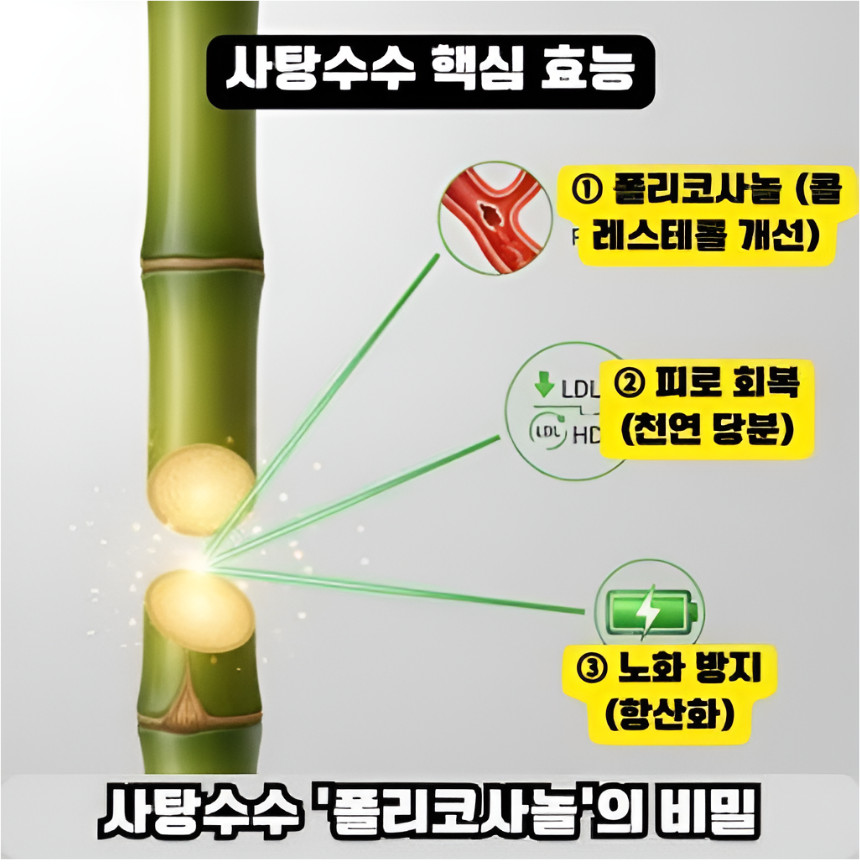 SE-028c4a38-e5af-4a09-8c09-91449d2f8bd5.jpg (860×864)