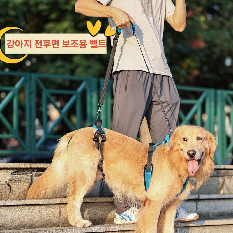 슬개골 수술 산책 하네스 뒷다리보조벨트 노견 보조기 블루 S - 상세 이미지 2