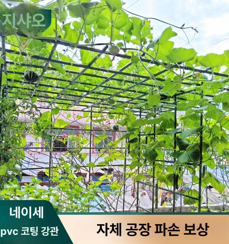원예 오이지지대 고추지지대 작물 베란다 마당 화분 6 1.8m 1.5m 1.8m 대형 - 상세 이미지 2