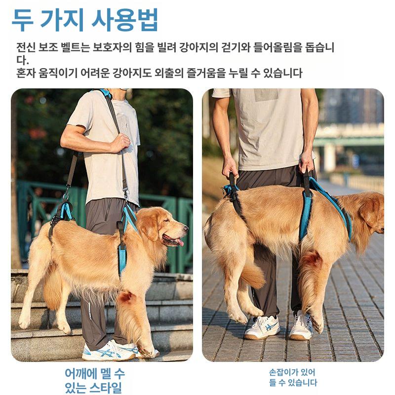 슬개골 수술 산책 하네스 뒷다리보조벨트 노견 보조기 블루 S - 상세 이미지 3