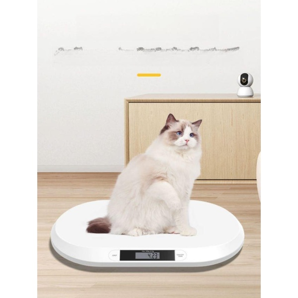 프리미엄 동물병원 정밀 펫저울 강아지 반려견 유선 전자저울 화이트 20.0kg 1단계 5.0kg 소형 전용 - 상품 이미지