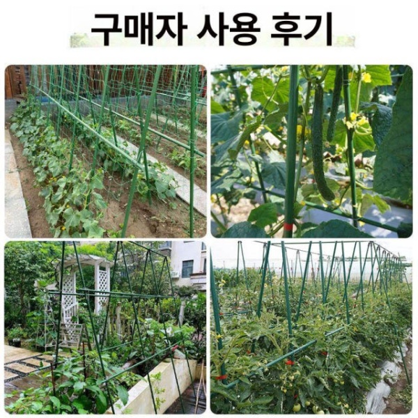 튼튼한 오벨리스크 지주대 장미 포도 넝쿨 아치 터널형 지지대 지름 8mm 길이60cm 특대 지름 8mm 길이60cm 특대 - 상세 이미지 4