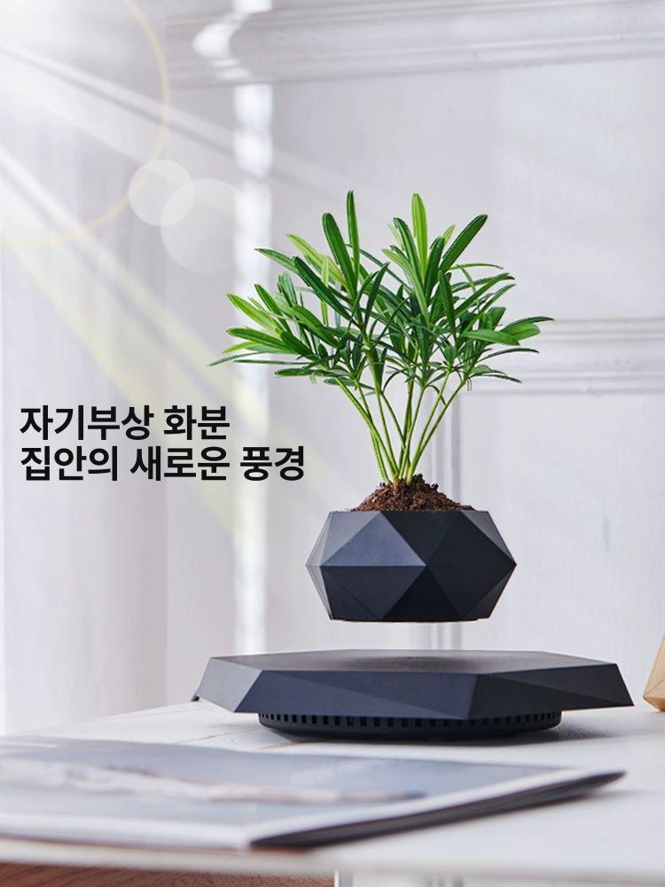 공중부양 플로팅 전시대 사무실 디스플레이 장식품 선물용 다크 우드 패턴 인조피닉스테일클로버 - 상세 이미지 3