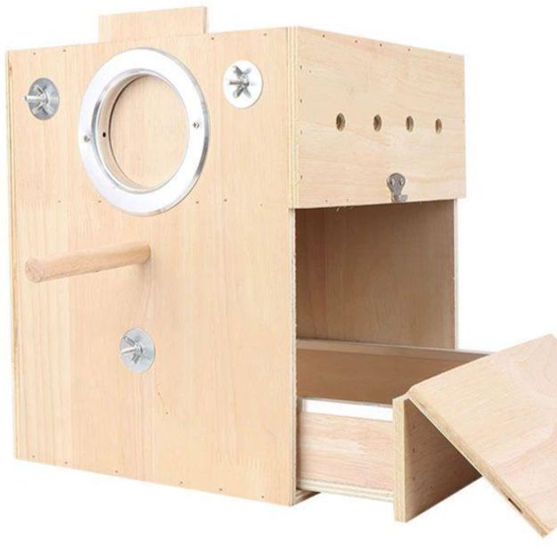 앵무새 알통 원목 은신처 부화 둥지