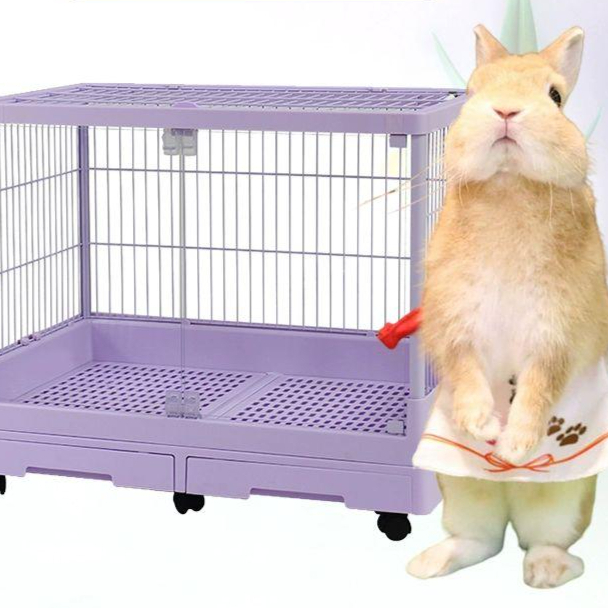 토끼 케이지 하우스 대형 투명 소동물 집 가정용 친칠라 사육장 - 상품 이미지