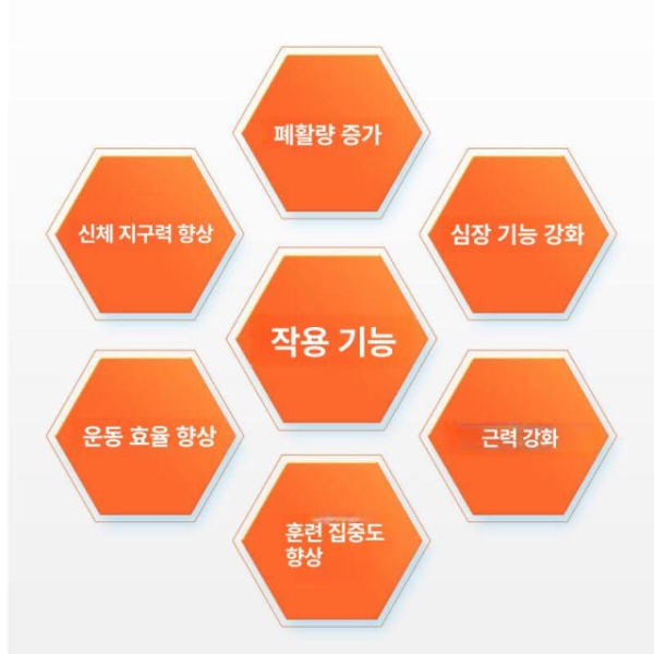 프리미엄 저산소 마스크 비행기 고지대 등산 폐활량 심폐지구력 디럭스 L 90.5kg이상 교체용 커버 S 55.0kg미만 - 상세 이미지 4