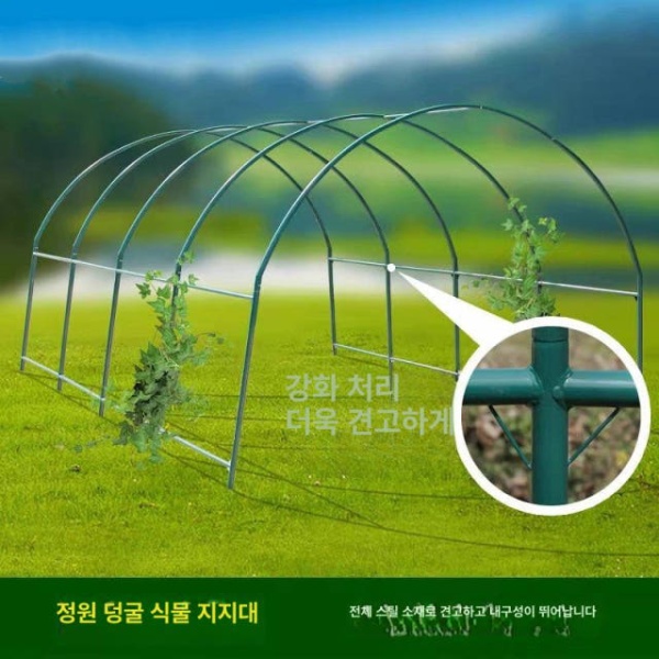 튼튼한 텃밭 비닐하우스 장미 포도나무 호박 덩굴 지지대 지주대 길이 2 x 너비 2.15 높이 2.2m 길이 2 x 너비 2.15 x 높이 2. - 상세 이미지 2