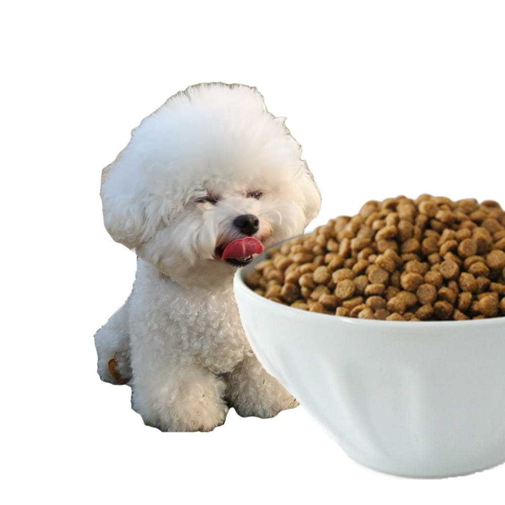 건강백서 미니 비숑 사료 소형견 반려견 사료 6kg 이미지 6