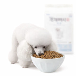 건강백서 말티푸 스탠다드 토이 푸들 사료 2kg 솔직 후기 | 실제 사용자 리뷰 총정리 - 상품 이미지 1