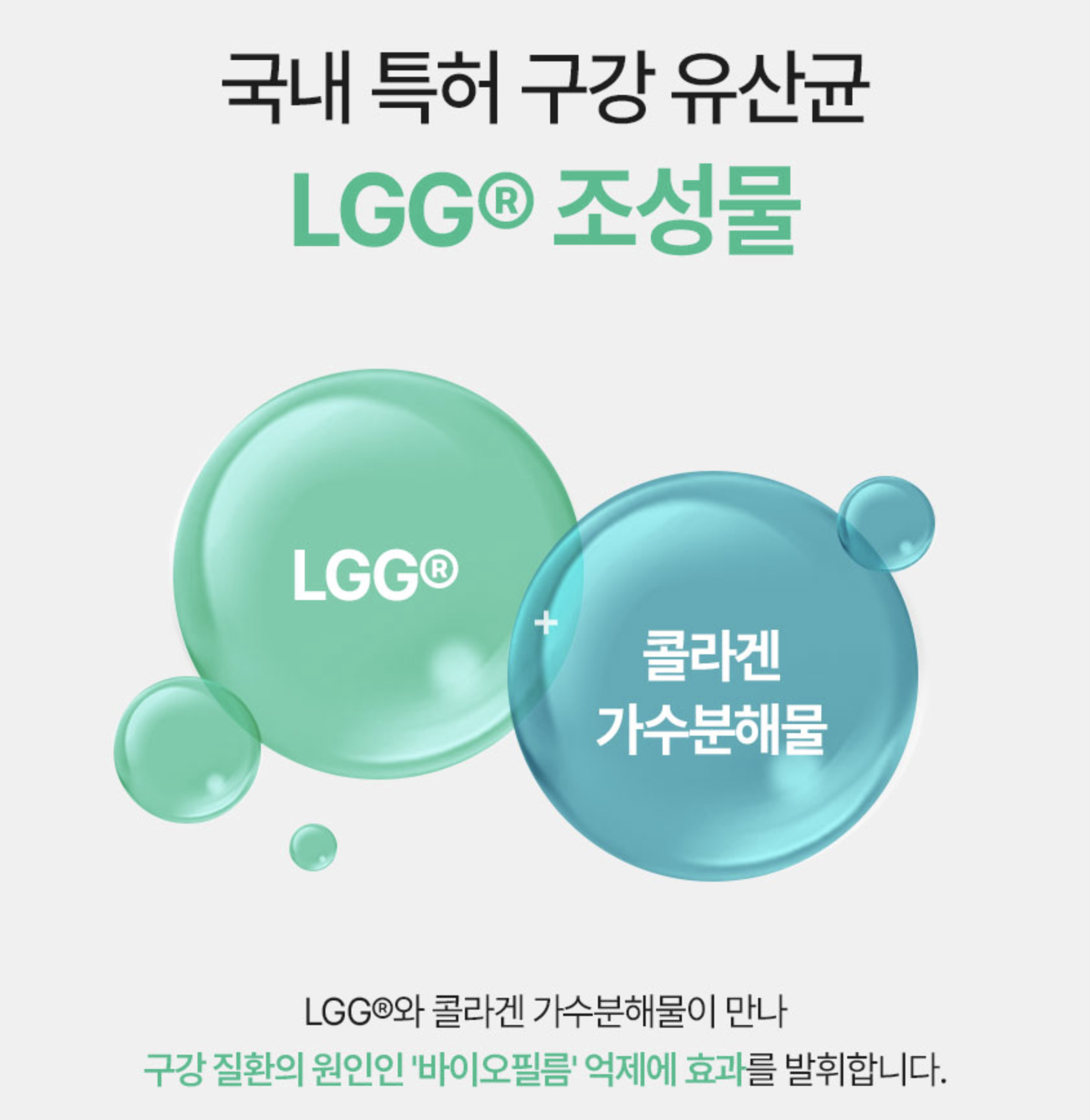 덴마크구강유산균효과 입냄새제거유산균 덴탈유산균 이미지 7