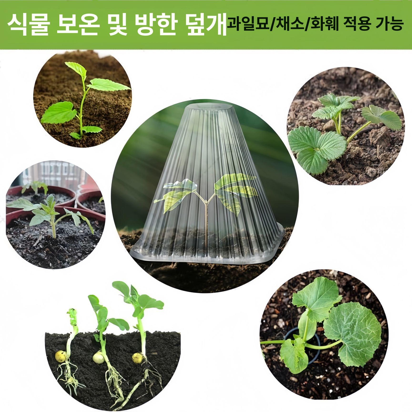 식물투명온실 100개 덮개 사각형 비닐하우스 단열 식물보호 필름 미니온실 묘목 - 상세 이미지 2