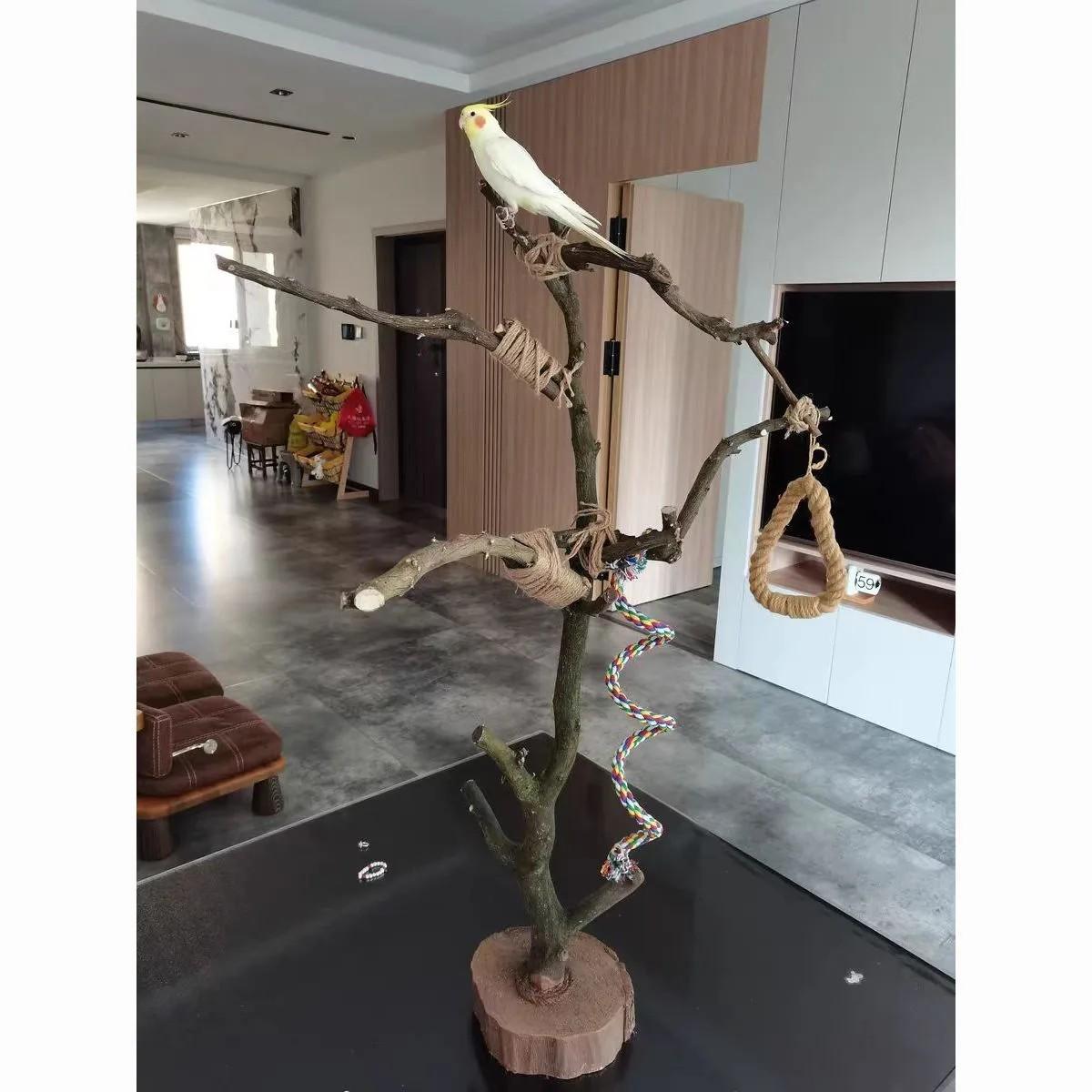 앵무새 놀이터 대형 스탠드 나무 새장 펠렛 횟대 장난감 높이 120cm 가죽 포함 - 상세 이미지 5