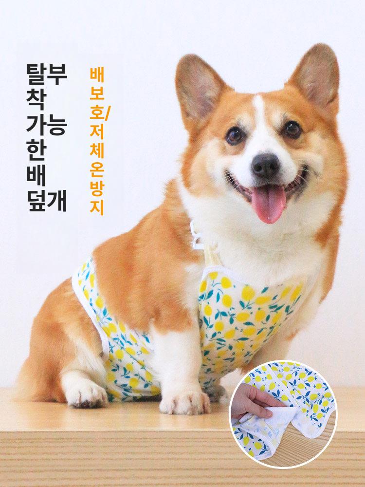강아지매너벨트 생리팬티 올인원 중형견 대형견 수컷 멜빵 옐로우 생리 팬티 M [추천 3.5-6kg] - 상세 이미지 3