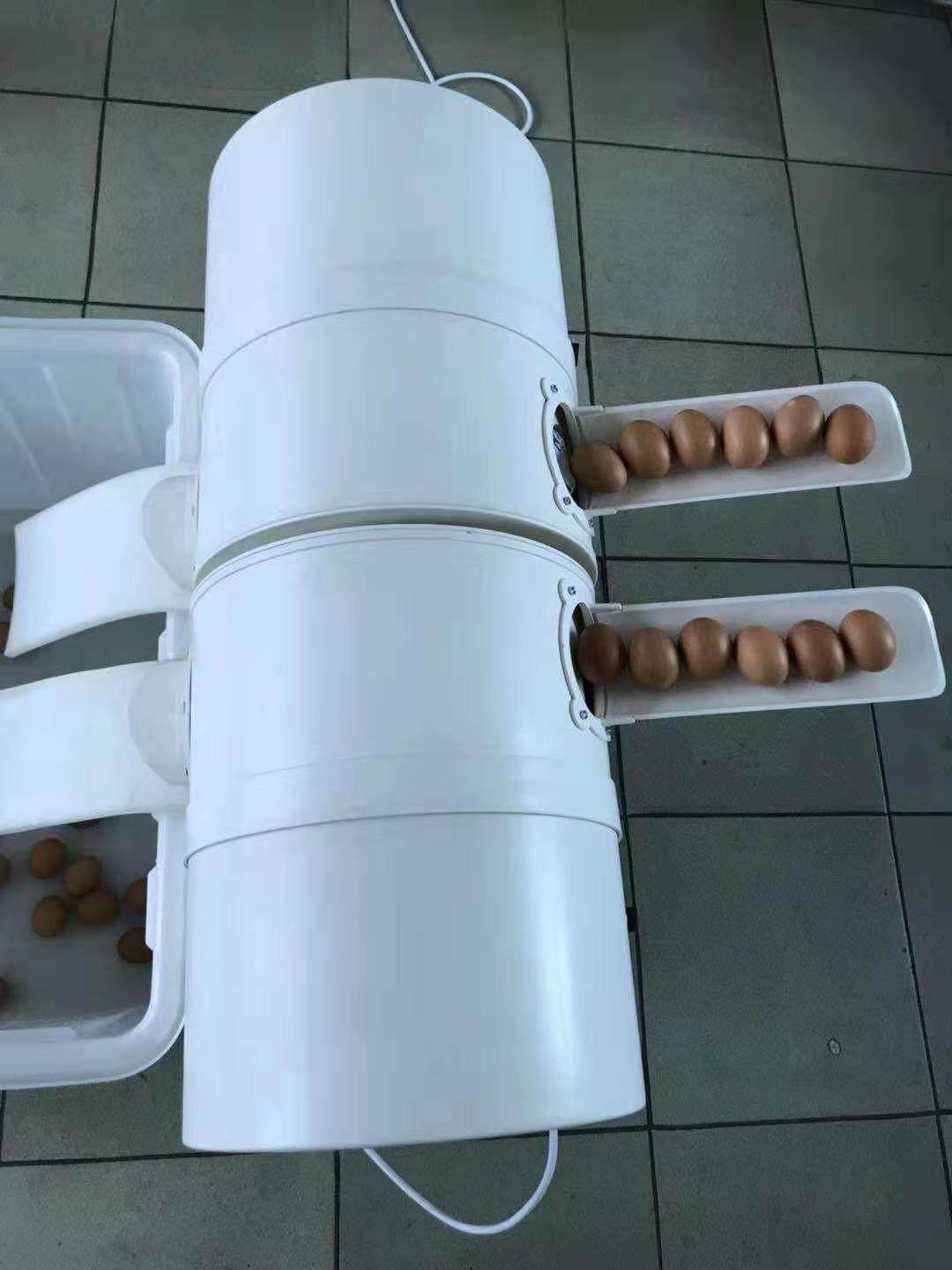 자동 계란세척기 양계장 제거 알씻는기계 분변 오리알 이중 통 - 상품 이미지